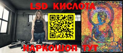стаф Краснодар