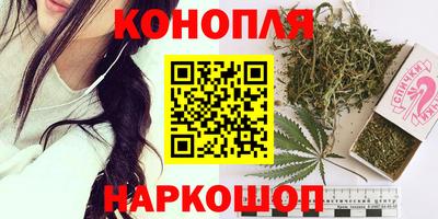 стаф Краснодар