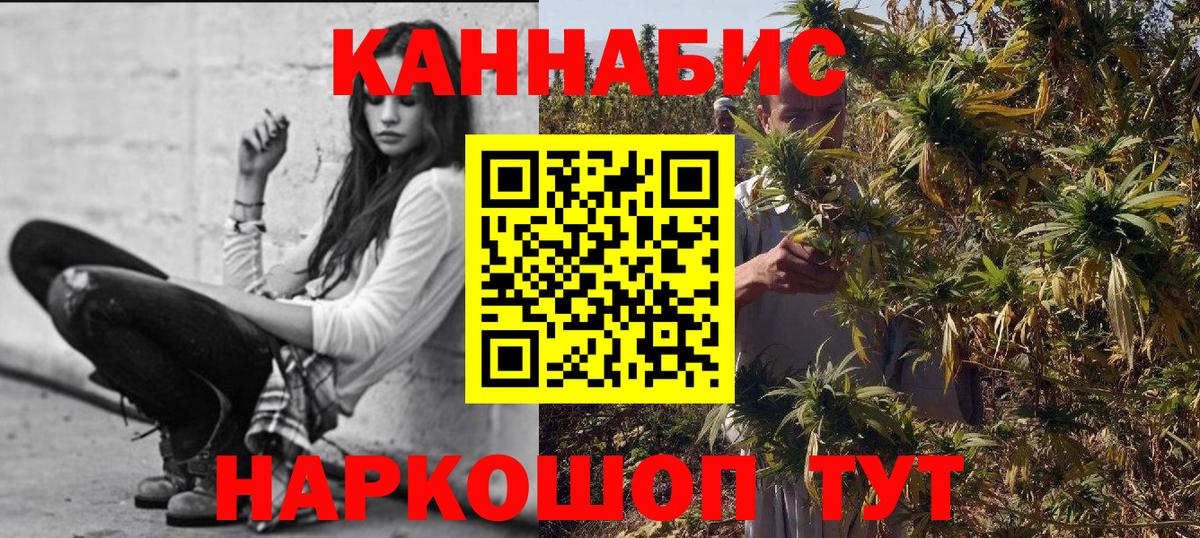 Марихуана планчик  Марихуана Ganja  Улан-Удэ  Бошки марихуана сатива  Вход с VPN 